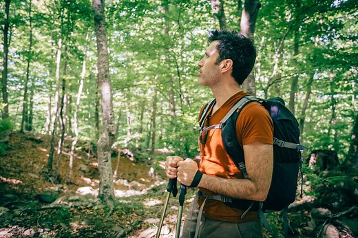 Qué es el ecoturismo y sus características - Resumen