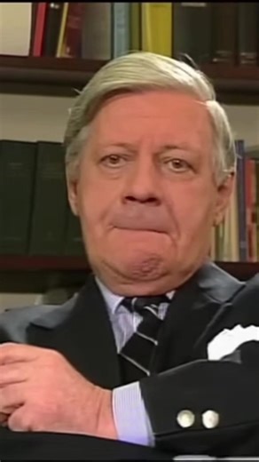 Helmut Schmidt: Insights from the Politician Interview