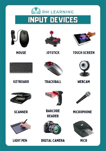 Input Devices #computer #inputdevices #vocabulary #shortsfeed
