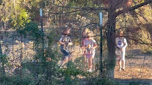 Joshua Evola on Reels