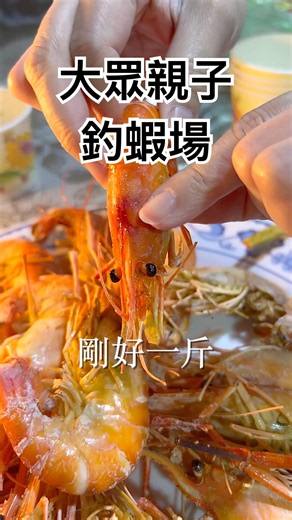 A Secret Yilan Shrimp Fishing Spot: The Perfect Family-Friendly Experience #PublicShrimpFishing #...