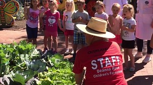 14K views · 41 reactions | Join our team! The Farmstead is hiring Animal Care Attendants, Point of Sale, Educational Docents, Gardeners, Blacksmiths, and Maintenance. If you’re looking for a fun place to work and make a difference in your community, apply today at opkansas.org. Seasonal jobs from April 1 - October 31 Weekday availability a plus! https://recruit.opkansas.org/ | Deanna Rose Children's Farmstead | Facebook