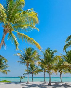 2.9K views · 113 reactions | Les eaux turquoises, le sable blanc, les...