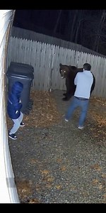 CCTV Footage: Bear Attacks Child at USA House! #CCTV #BearAttack #USA #SecurityFootage #WildlifeCaughtOnCamera #BackyardSafety #ViralVideo | Ai World