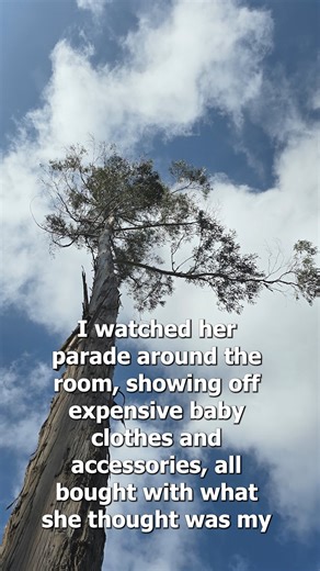 While I was in the delivery room, my sister-in-law texted me, thanks for the $180,000 from your account. Now I can finally live my dream life. I calmly replied, enjoy it. She had no idea why I was so calm. When the bank manager called her.- Askreddit #askreddit #reddit #relationship #redditstorytime #redditposts #storytime | Adam A12 32