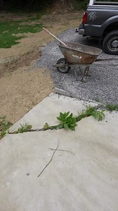 Concrete Slab Repair 👊 #DIY #HomeImprovement #bathroomremodelingteacher#freestuff #NASCAR #NFLSunday #freeitems #TransportationProvided #freetogoodhome #FitnessEquipment #curbsidepickup #trading #sticker #fblifestylee | Bathroomremodelingteacher
