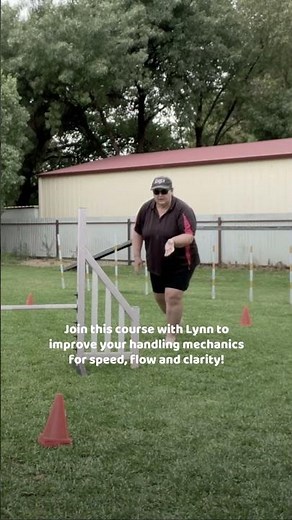NEW Guided Course: Footwork and movement for clearer handling in agility