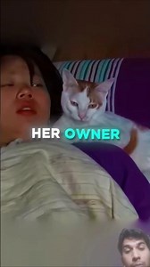 That Cat Was Having NIGHTMARES 😶 cat video USA
