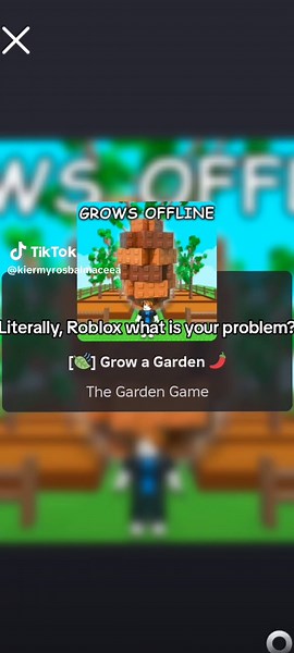 Roblox Connectivity Issues: Why No Access to Games?