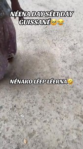Nenako Lepp Lerna | Fisha Du Peuple