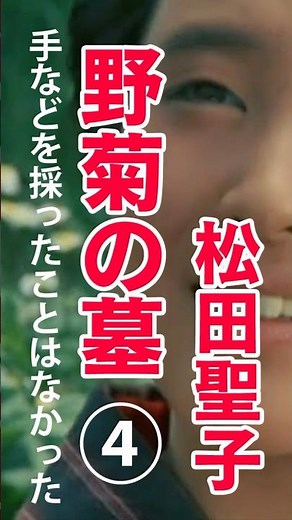 野菊の墓④ 伊藤左千夫 手などを採ったことはなかった #松田聖子 #山口百恵 #小説 #朗読