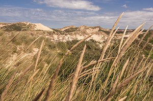 Visiter la côte d'Opale, que faire ? Guide nature et culture