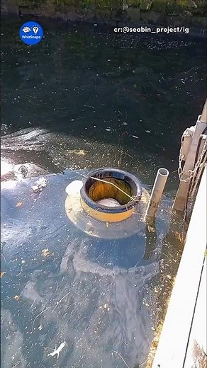 This Floating Bin Cleans the Ocean!