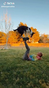 1.9K views · 174 reactions | bucket list for all Border Collie owners! | I Love My Border Collie | Facebook
