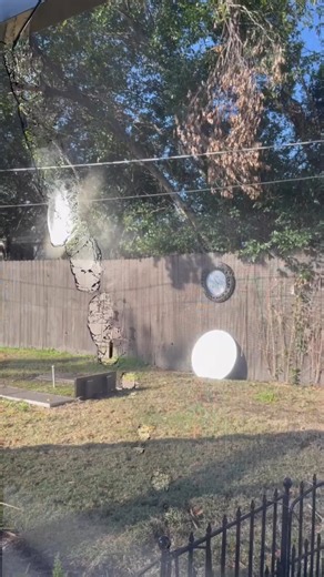 121K views · 299 reactions | Decorative mirror causes the pool screen to catch on fire! | Best Videos | Facebook