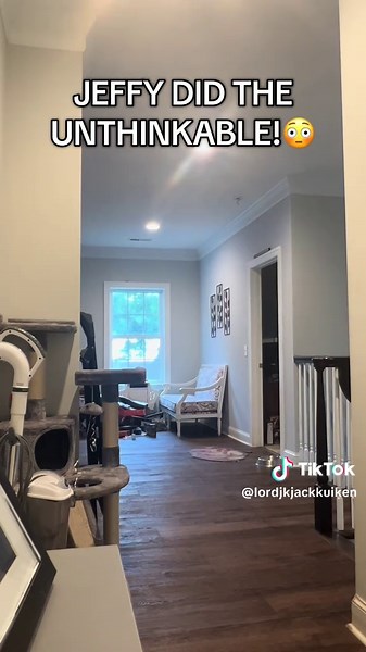 Jeffy's Unthinkable Story: A True Tale Unveiled