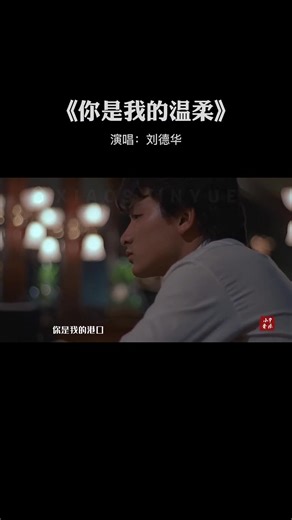 刘德华你是我的温柔完整版你是我的温柔刘德华经典歌曲音乐推荐