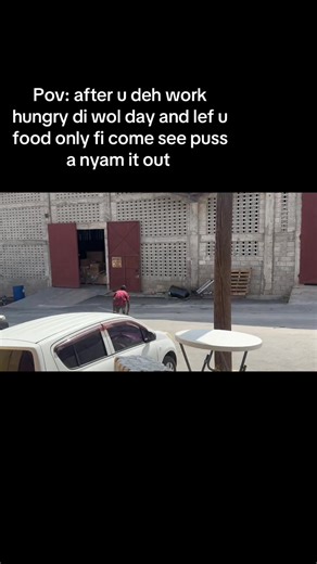 Hilarious Cat Steals Food: Funny Jamaican TikTok Moment