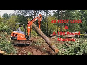 LOGGING with a MINI EXCAVATOR????? Kubota KX040-4