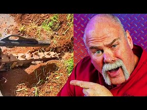 Real Plumber Reviews FUNNY Videos on TikTok