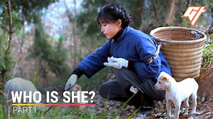 She has some 50 million fans in China and nearly 8 million followers overseas. Yet this online celebrity is still a mystery to many. Li Ziqi is known for her videos where she builds seemingly everything from scratch using items foraged in the countryside. Here, she chops down bamboo to make her own sofa set. This is the first in a three-part video series about Li Ziqi that looks at what makes her so popular. Stay tuned for a brand-new Li Ziqi video next week, and our exclusive interview with her