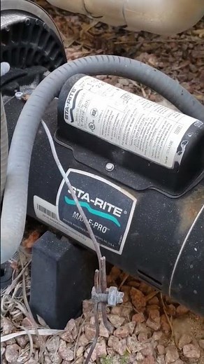 Worn out bearings in a pool pump motor