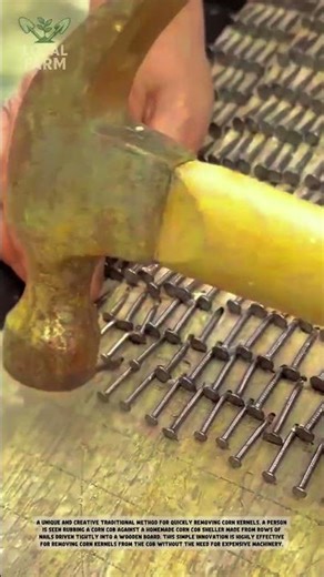 smart farming:Genius DIY Corn Sheller Made with Just Nails and Wood! 🌽🔨