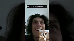 How Different Dog Breeds React to Robbers