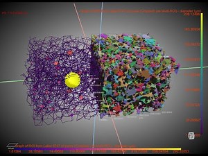 [Z Dragonfly Videos] Pore Morphology Visualization and Pore Size Distribution