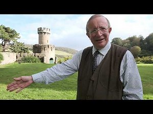 Taxus - Care Guide - Burncoose Nurseries