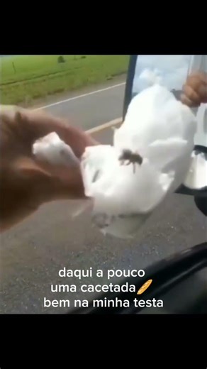 BEE MOVIE na estrada