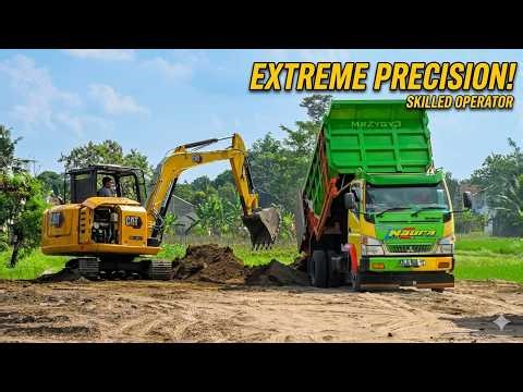 EXPERT SKILLS: CAT 305 Leveling Site with Colorful Fuso Dump Trucks