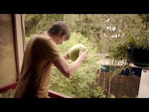 The Power of Gravity | Wonders of Life w/ Prof Brian Cox | BBC Earth