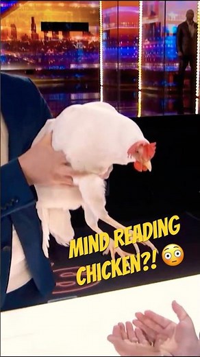 The Mindreading, Magical Chicken