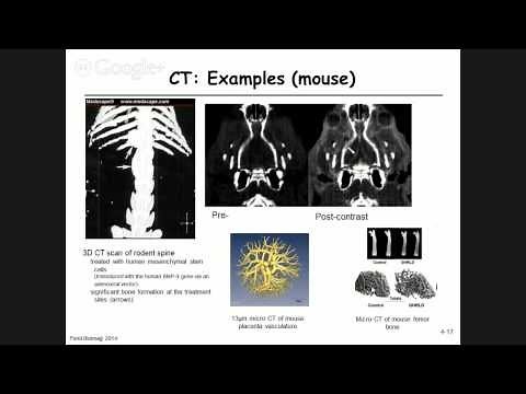 4.2 - Computed tomography - Image reconstruction/backprojection