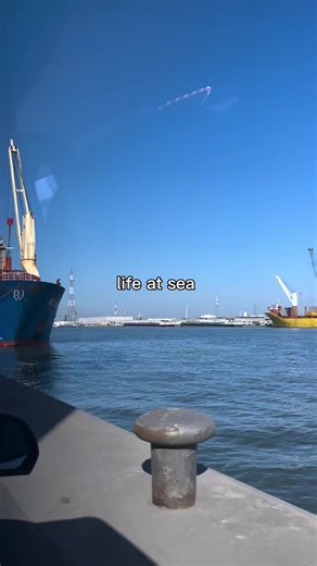 chupapi_munyano001 on TikTok