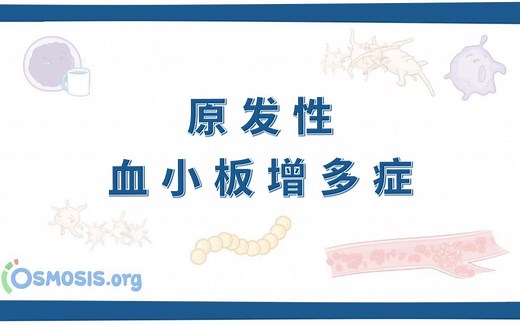 【Osmosis】原发性血小板增多症 Essential Thrombocythemia（中英字幕）