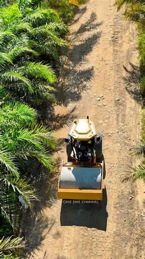 Soil compactor CAT #fypシ゚viral