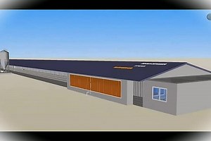 Discover the Fascinating World of Chicken Farming