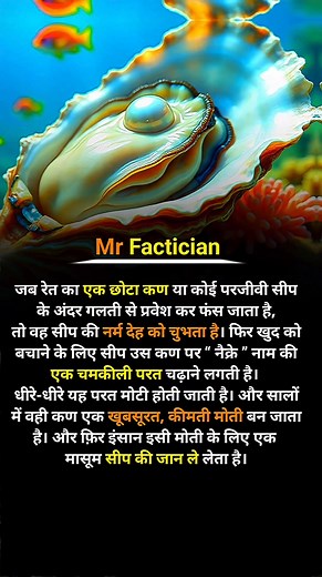 Shellfish pain and pearl formation . . . #shellfish #pearl #ocean #fblifestyle #facts | Mr Factician