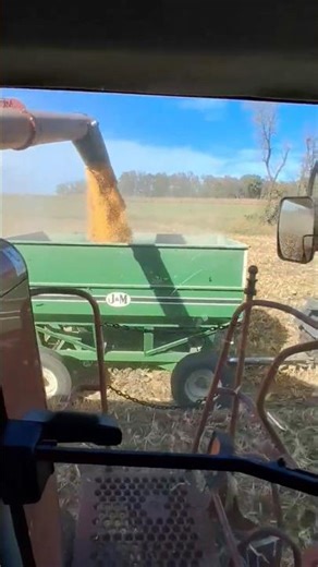 Unloading on the go! Corn harvest 2025!