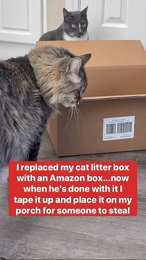 Genius idea #reels #hack #funny #cat | Hack 'n' Giggle