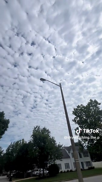 Exploring Marshmallow Clouds in the Sky
