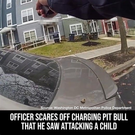 The Washington DC Metropolitan Police Department released bodycam footage showing an officer firing his handgun at a pit bull who he had witnessed attacking a child. The pit bull was not hurt. | Breitbart
