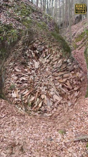 Zapomenuté pískovcové průrvy… vítej v Ulmitchově MTB světě 🌲🔥