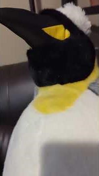 Adorable Penguin Plush Toy Set Review: Perfect for Kids Gifts