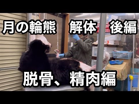 @wildlife8620 月の輪熊 解体後編