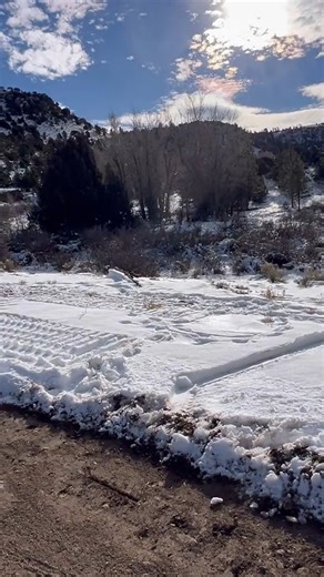 44K views · 567 reactions | That flying back into the wild feeling... This American goshawk spent a month at our Frisco Creek Facility in Del Norte after it was found on the ground with soft tissue injuries preventing it from flying. After one month of rehabilitation, we're happy to say this goshawk is back to flying high! Watch as our Wildlife Officer Jeremy Gallegos releases it back to the wild  | Colorado Parks and Wildlife | Facebook