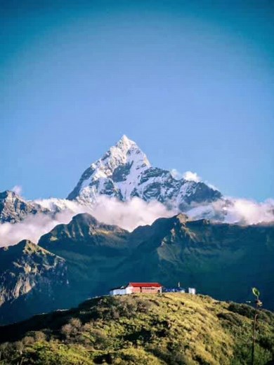 wegmans nba streams reddit.