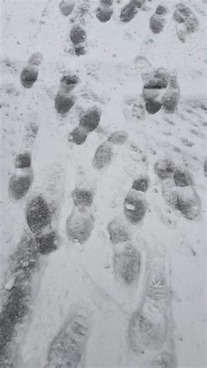 2.2K views · 66 reactions | Embracing the serene beauty of winter at the Guide Dog Foundation campus. In the hushed whispers of falling snow, the journey towards independence for guide dogs and their partners continues. ❄️ Reel shows our 15 acre campus covered in snow. Clips feature our training center with falling snow, footprints in the snow, the back squares, break area, and administration building in a dusting of snow. | Guide Dog Foundation for the Blind | Facebook